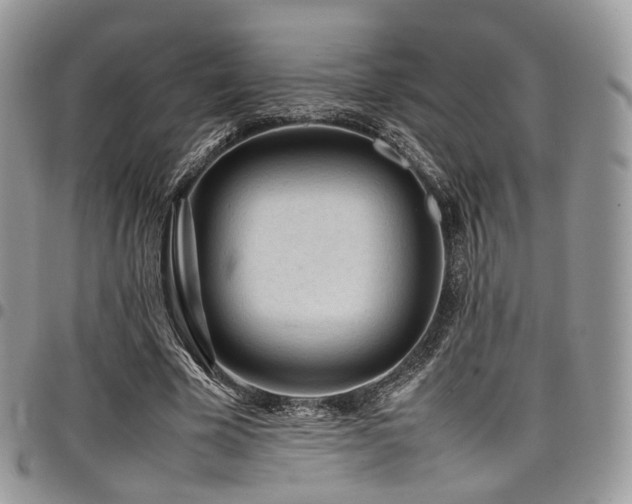 X0000098020585200803281336