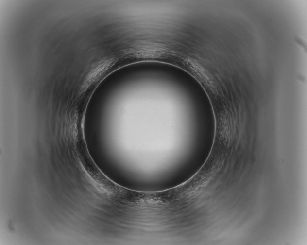 X0000098020586200803281336