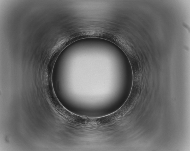 X0000098020587200803281336