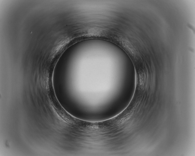 X0000098020588200803281336