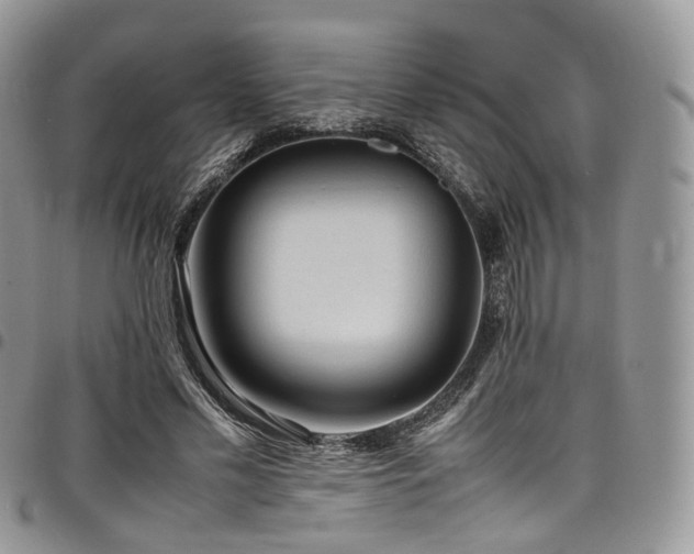 X0000098020589200803281336