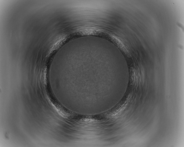 X0000098020590200803281336