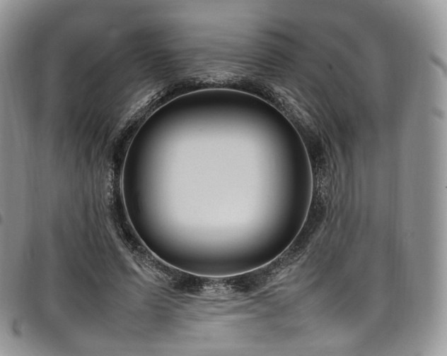 X0000098020591200803281336