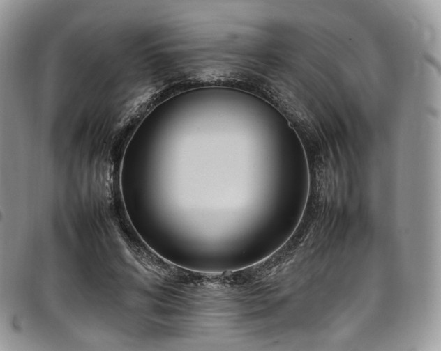 X0000098020592200803281336