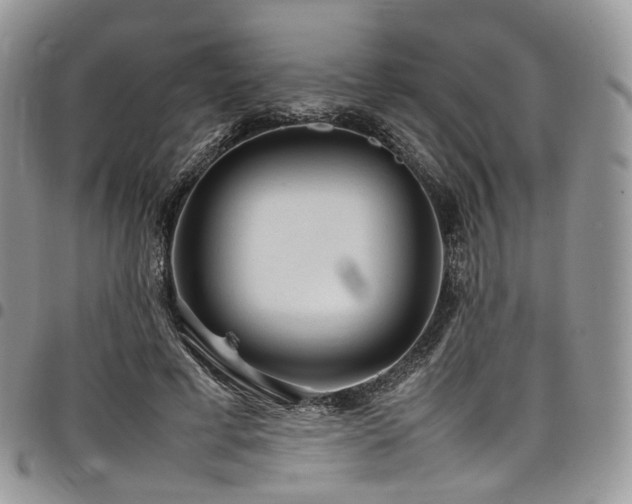 X0000098020593200803281336