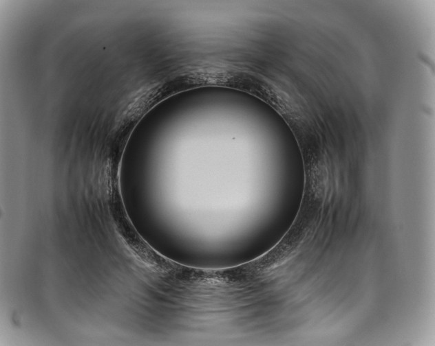 X0000098020594200803281336