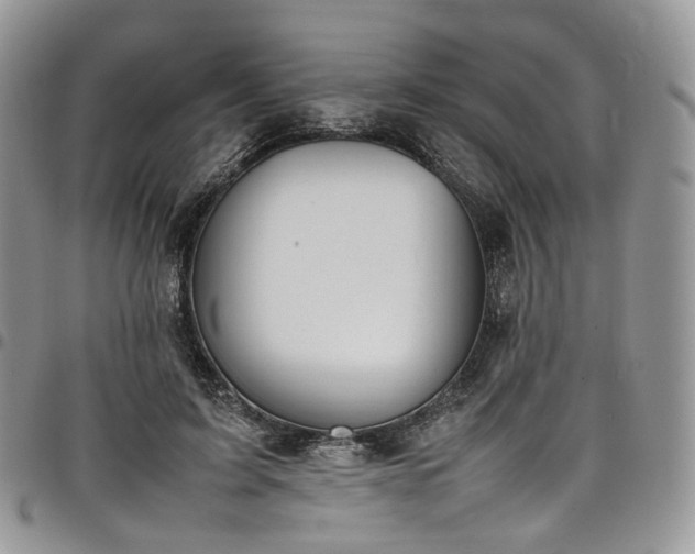 X0000098020595200803281336