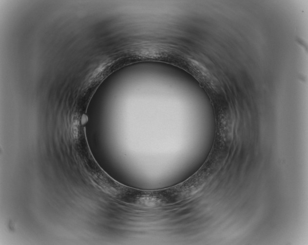 X0000098020596200803281336