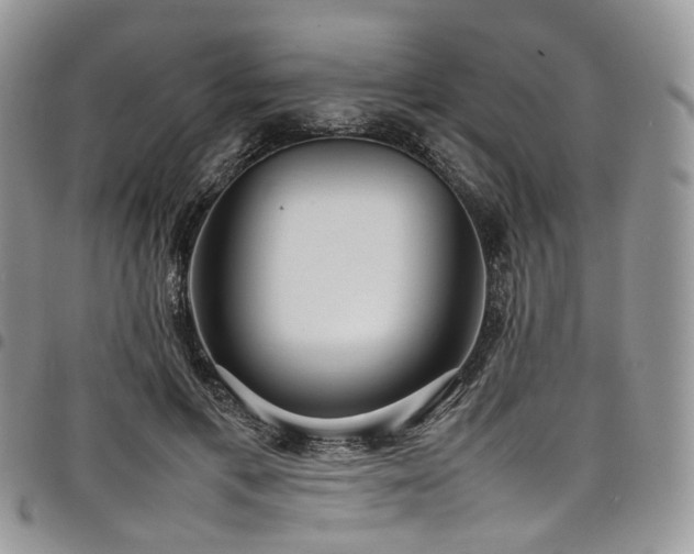 X0000098020597200803281336