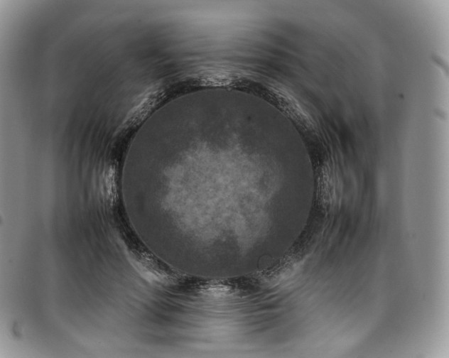 X0000098020598200803281336