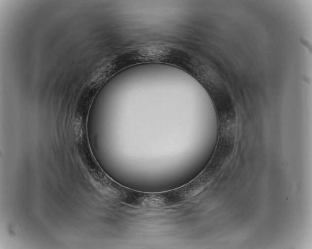 X0000098020599200803281336