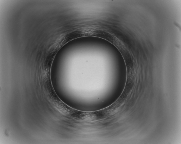 X0000098020601200803281336