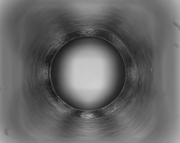 X0000098020602200803281336