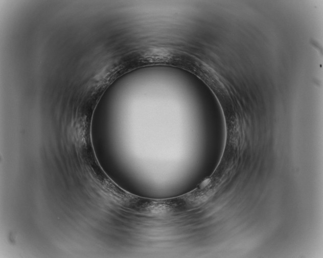 X0000098020604200803281336