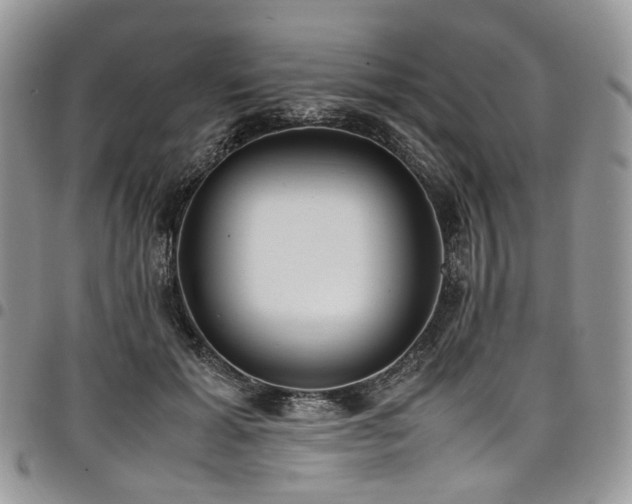 X0000098020605200803281336