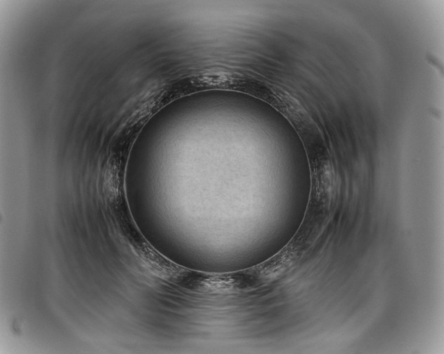 X0000098020606200803281336