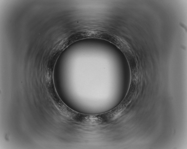 X0000098020607200803281336