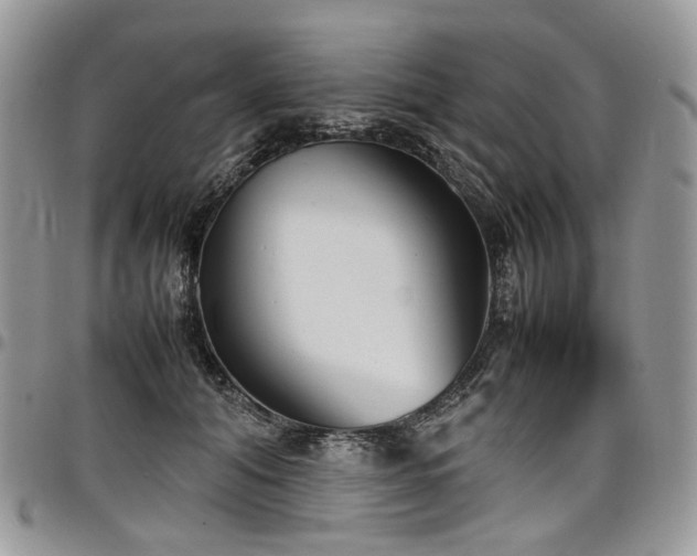 X0000098020608200803281336