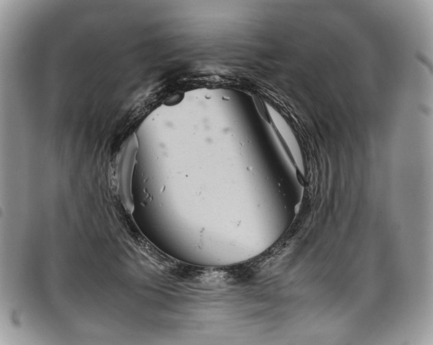 X0000098020609200803281336