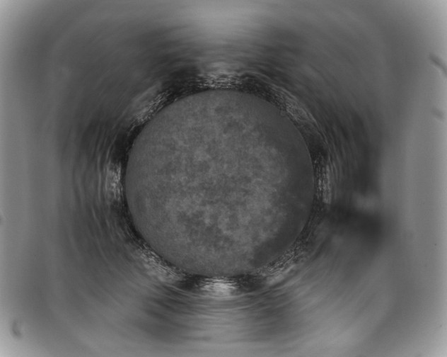 X0000098020610200803281336