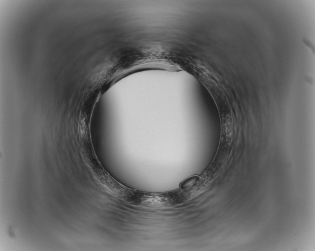 X0000098020611200803281336