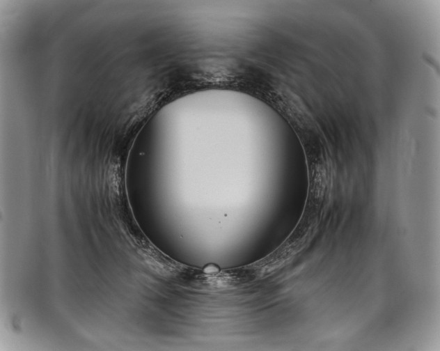 X0000098020612200803281336