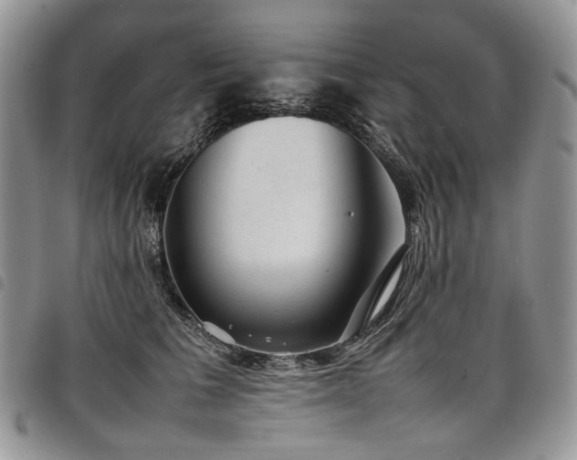 X0000098020613200803281336