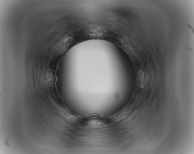 X0000098020614200803281336