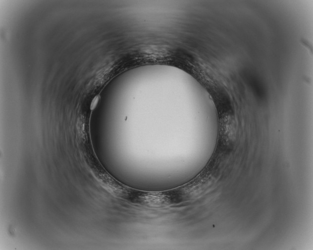 X0000098020615200803281336