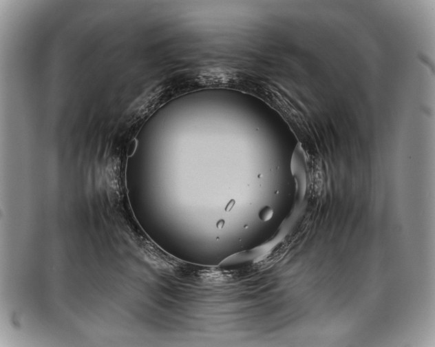 X0000098020616200803281336