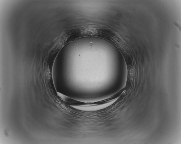 X0000098020617200803281336