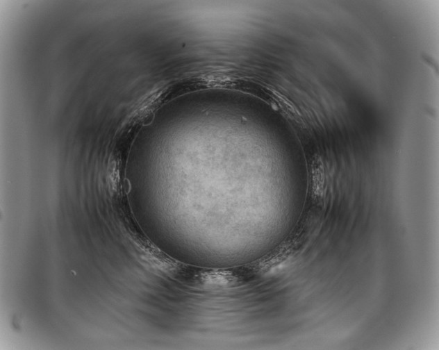 X0000098020618200803281336