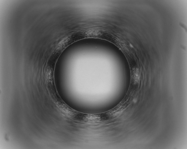 X0000098020619200803281335