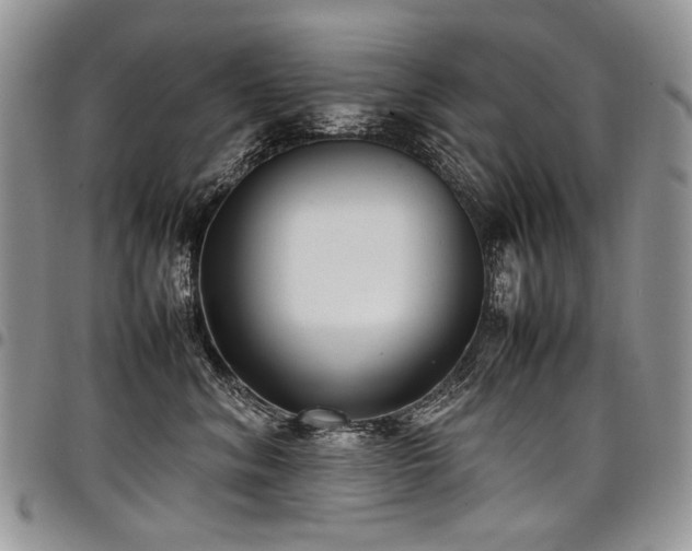 X0000098020620200803281335