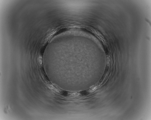 X0000098020621200803281335