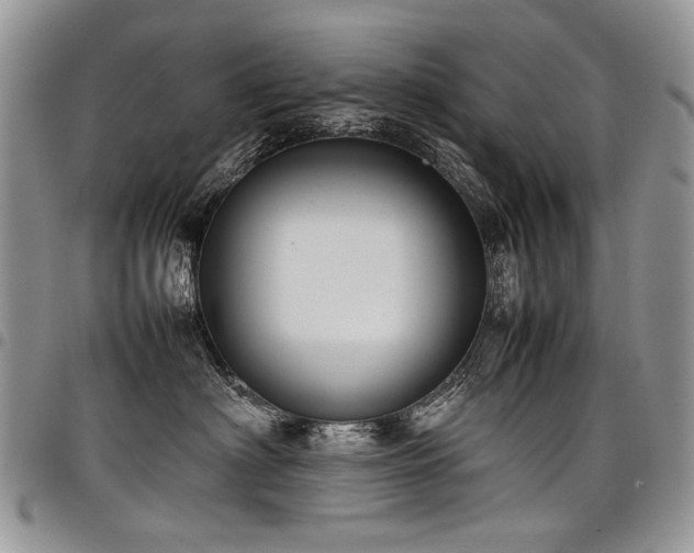 X0000098020622200803281335