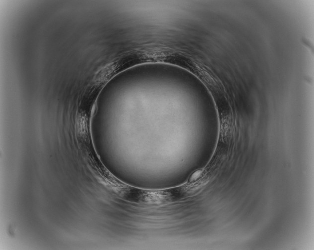 X0000098020623200803281335