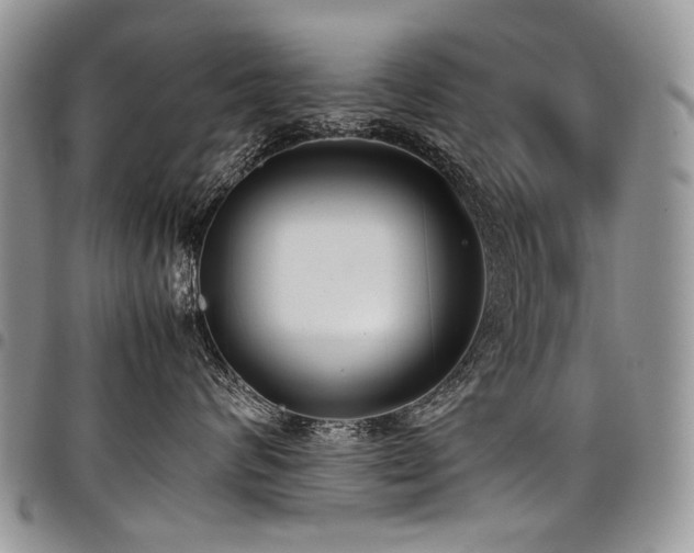 X0000098020624200803281335