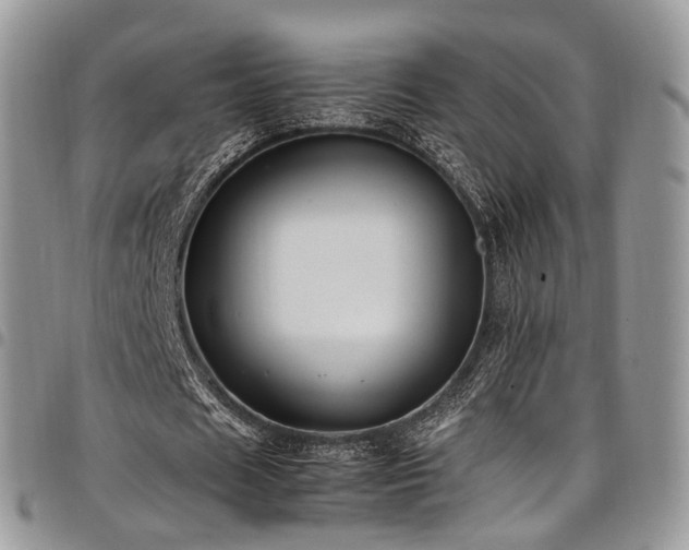 X0000098020625200803281335