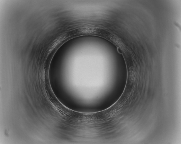 X0000098020626200803281335