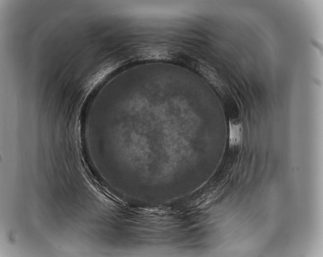 X0000098020627200803281335