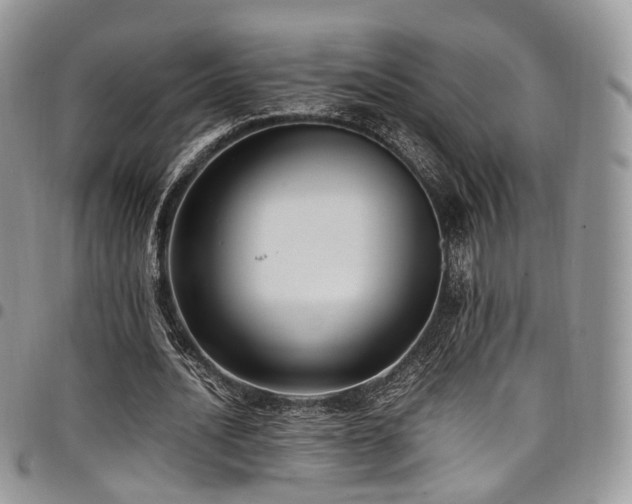 X0000098020628200803281335