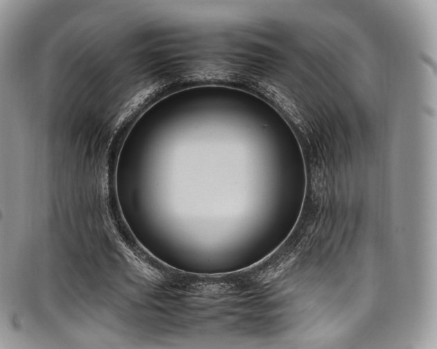 X0000098020629200803281335