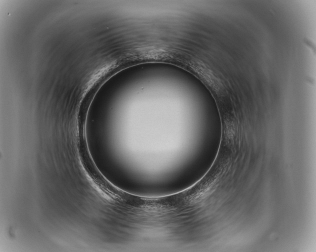 X0000098020630200803281335