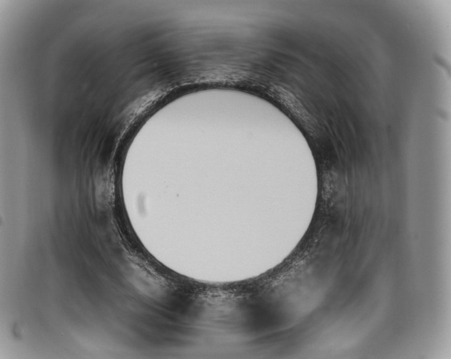 X0000098020632200803281335