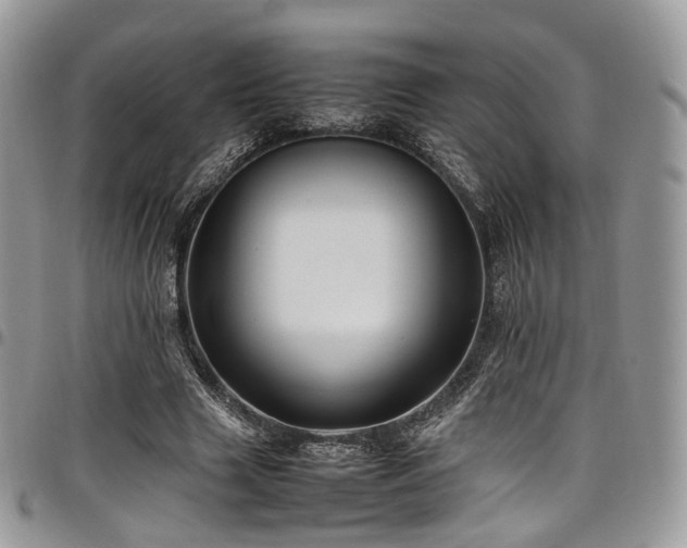 X0000098020633200803281335