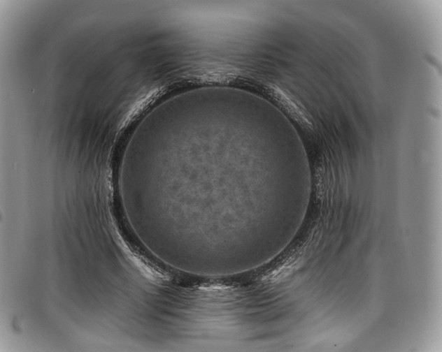 X0000098020634200803281335