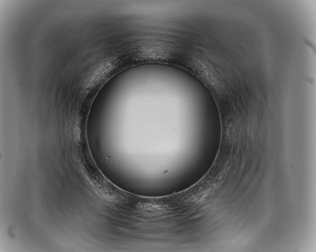 X0000098020635200803281335