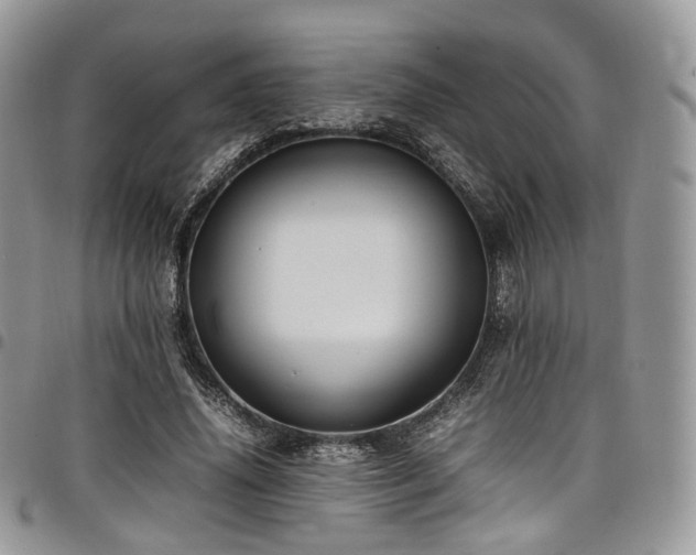 X0000098020636200803281335