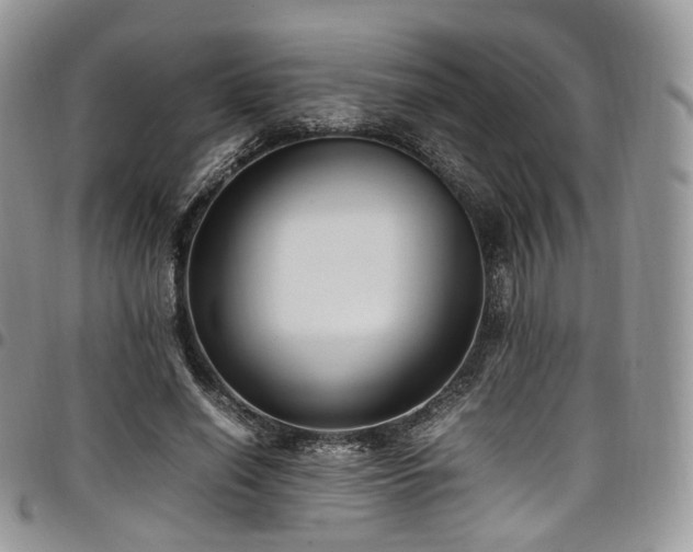 X0000098020638200803281335